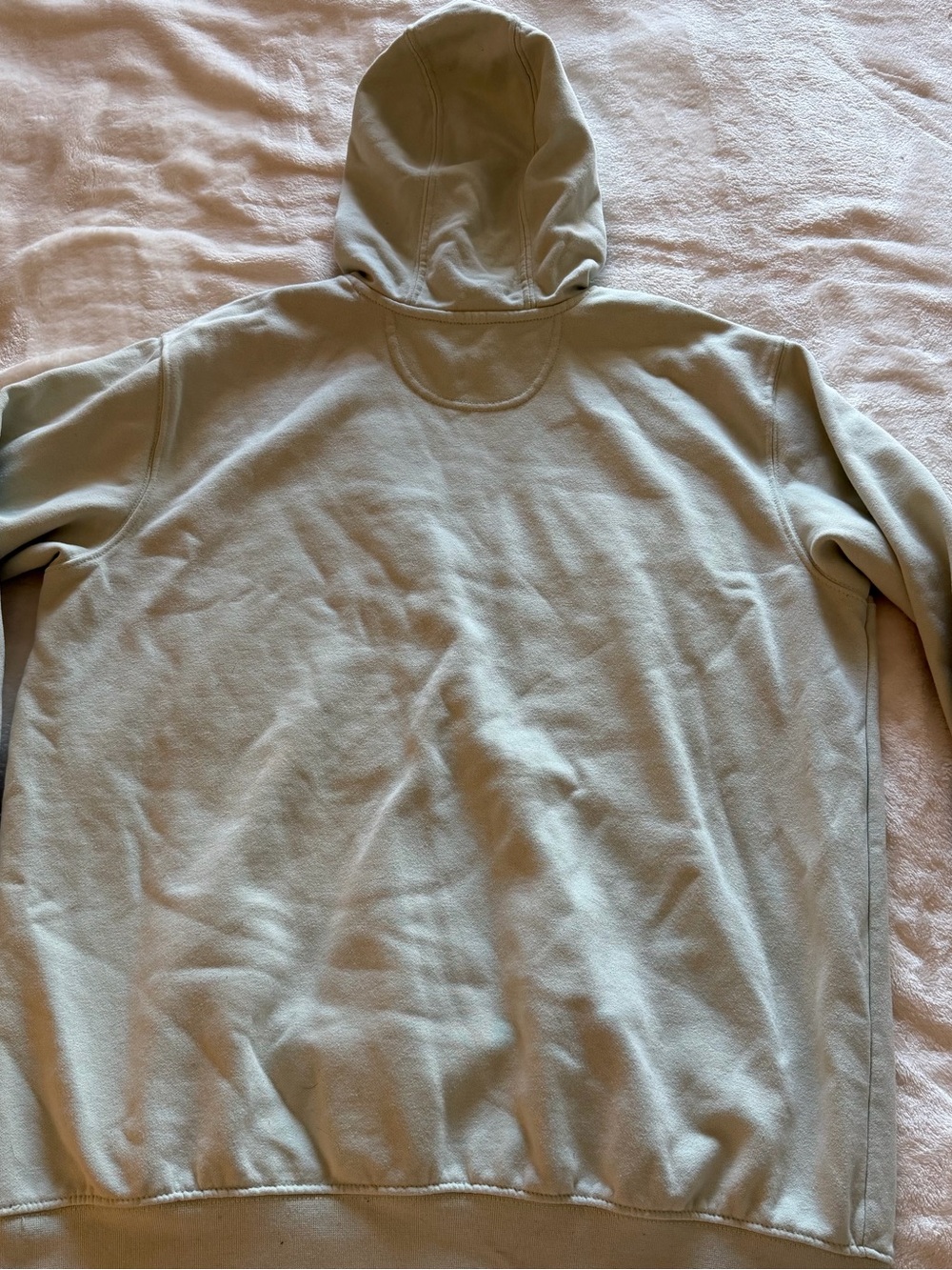 Carhartt Light Mint Pullover Hoodie with Sleeve Logo - Picture 6 of 7